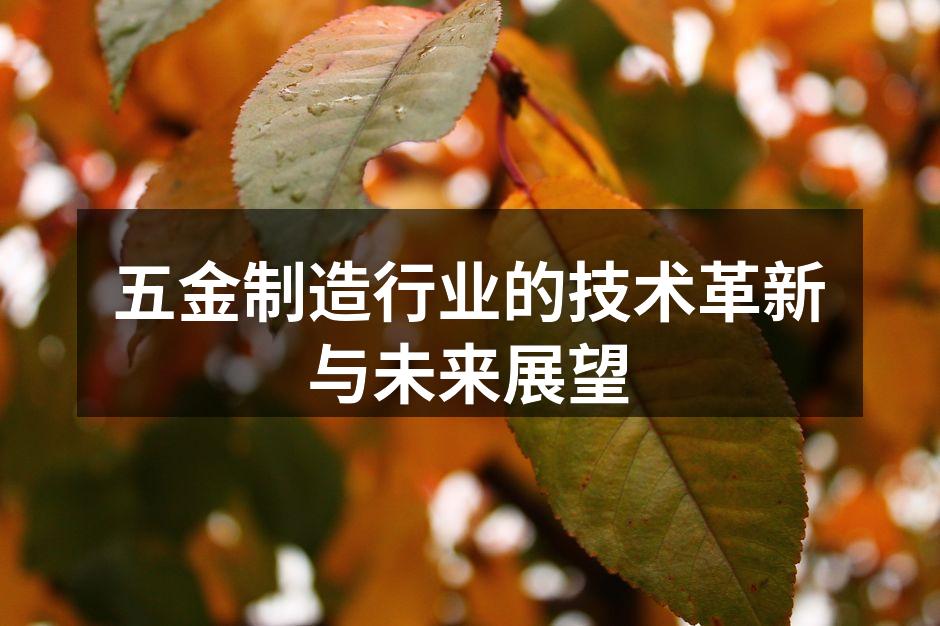 五金制造行业的技术革新与未来展望