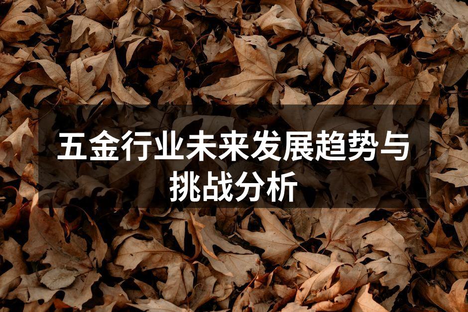 五金行业未来发展趋势与挑战分析